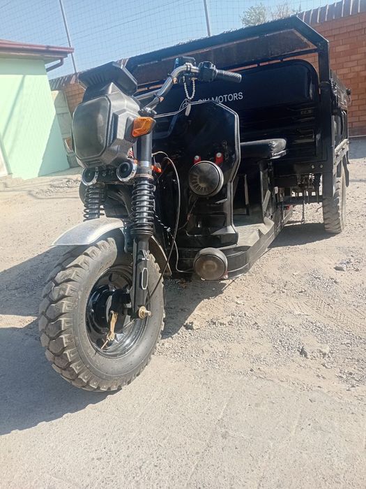 Электронной муравей 1000$