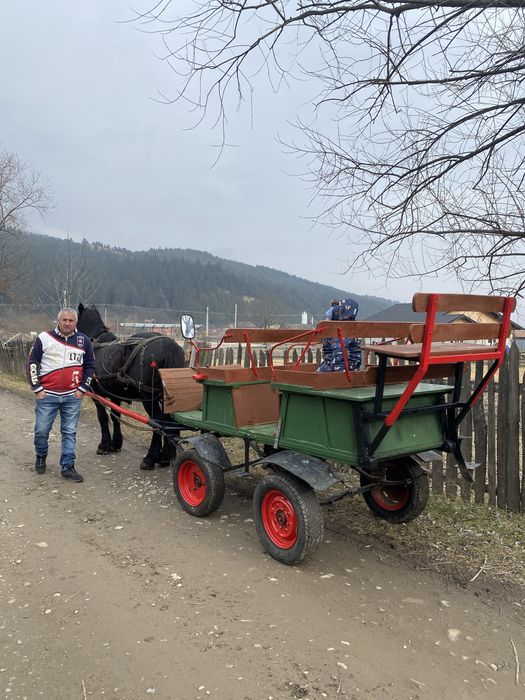 trasura pentru cal