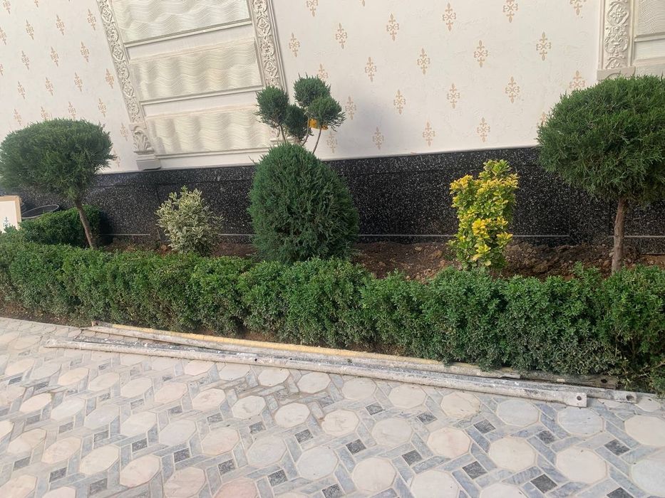 Ландшафтный дизайн