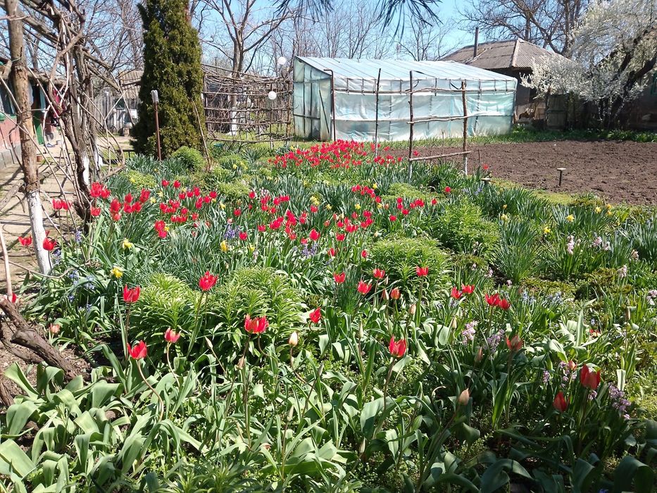 Casă bătrânească 45km de București