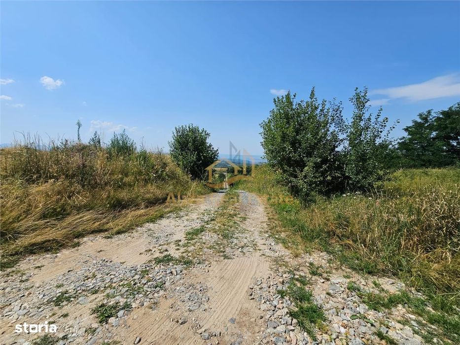 Alzza Real Estate – Teren intravilan de vanzare in Salicea, Cluj – 117