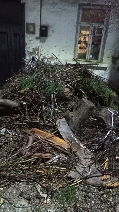 Отин бор текинга об кетасла селхозда