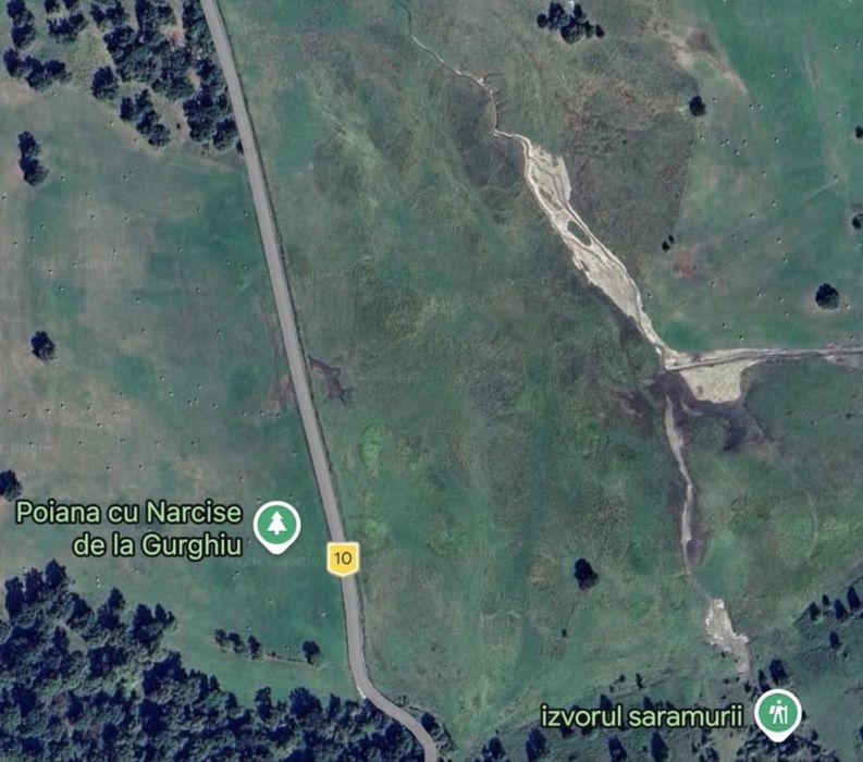 De vânzare Teren 21.600 mp cu deschidere 94,5 m la asfalt Zona Poiana cu Narcise, Gurghiu.