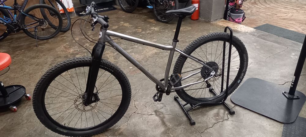 Ragley Blue Pig  29" 2013