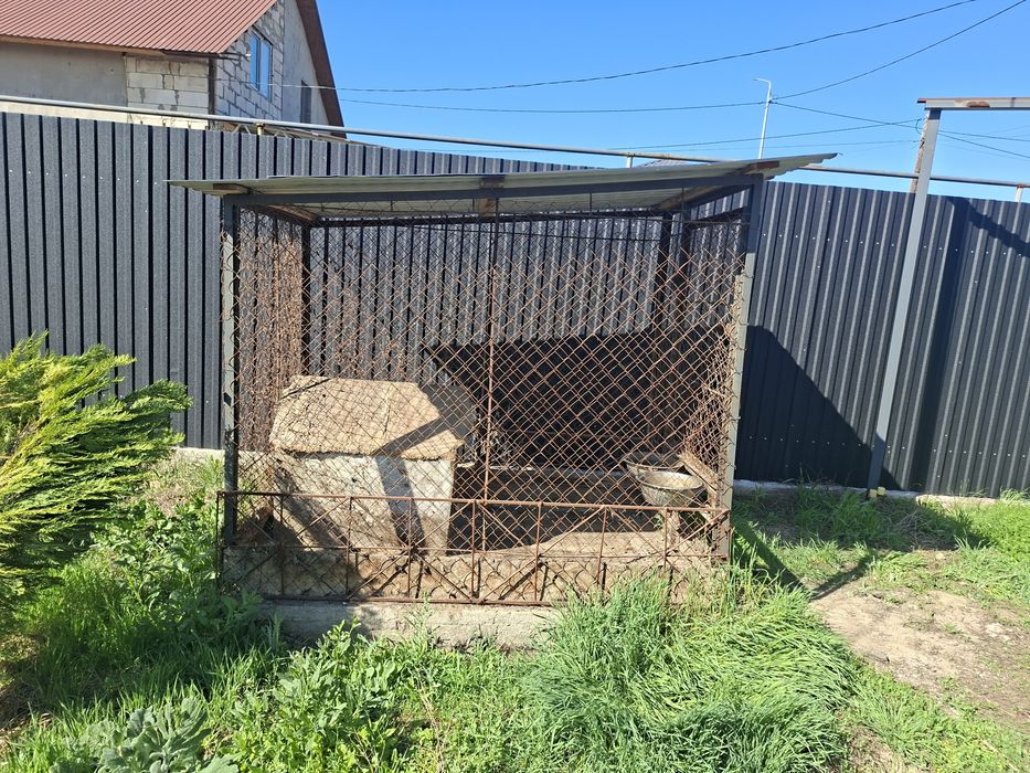 Вольер для собаки