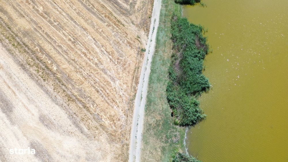 teren la lac Frumusani
