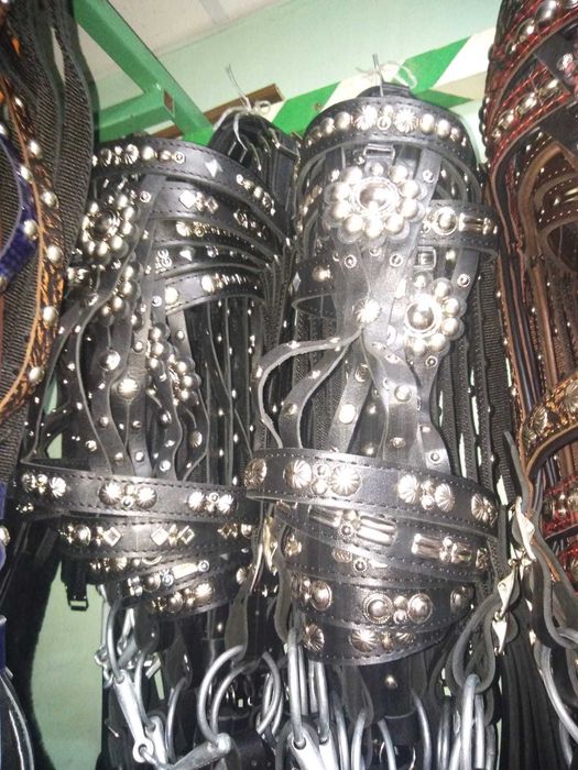 Узда парадная для лошади