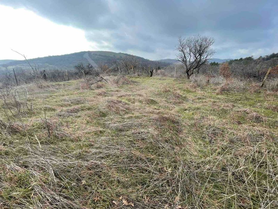 Парцел за строителство в Изворище 101134 ЕКСКЛУЗИВНА ОФЕРТА