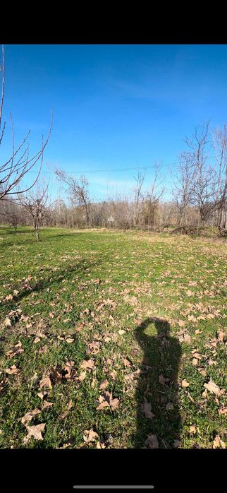 Chorvachilik Dexqonchilik