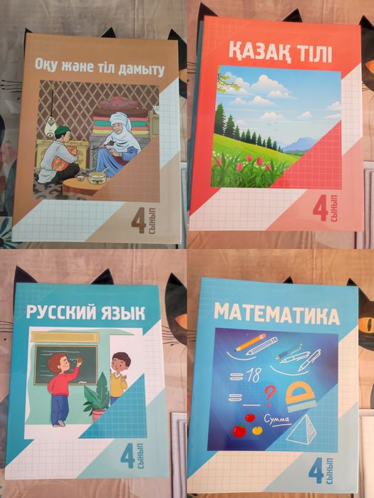 Учебники для особенных  детей в школе 4 класс