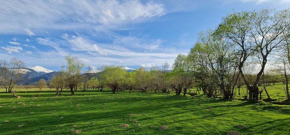 Teren superb la munte, suprafata 3000m/14euro mp