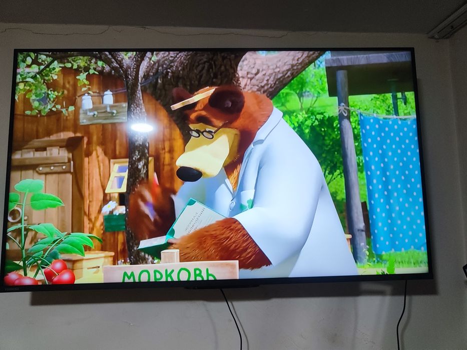 Towiba 50 talib yengi