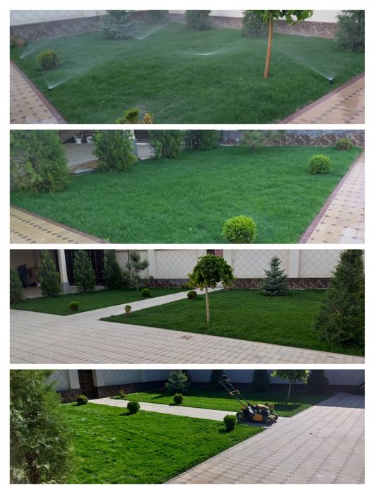 Газон/Автополив г.Шымкент