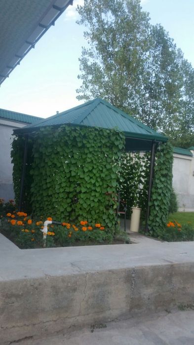 Дача на лето в аренду