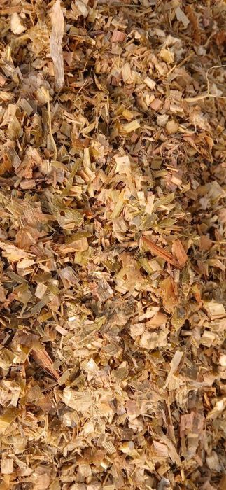 Silos sotiladi 18_20 kg