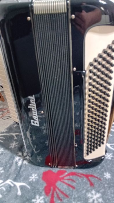 Vind Acordeon Italian Gaudini