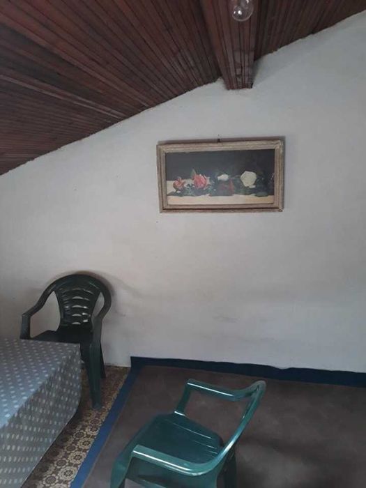 Стая - кв. Христо Смирненски - 1810201