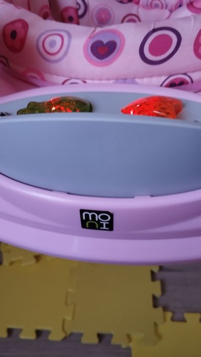 Бънджи Мони Виста