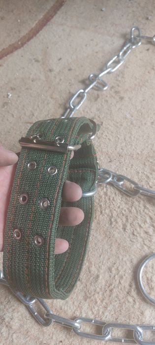 Цепь с ошейником новый