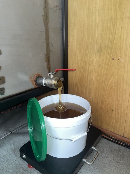 Мёд натуральный оптом