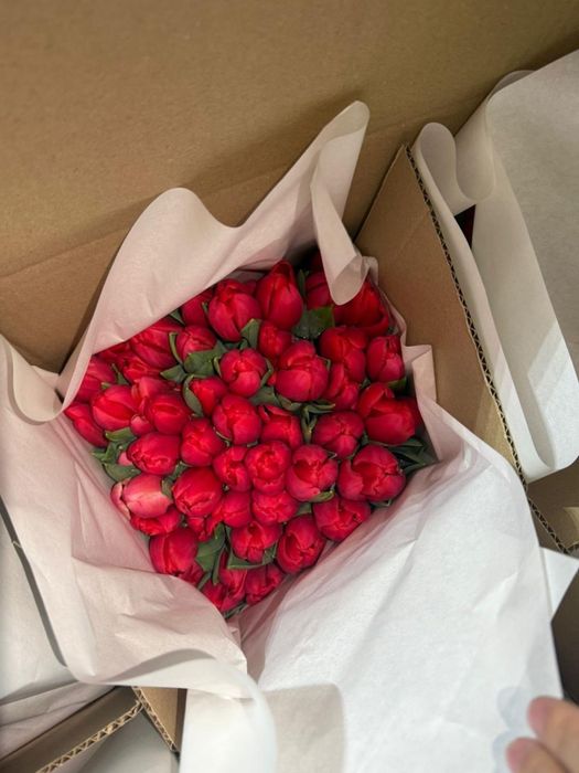 Продаю тюльпаны свежие по 700