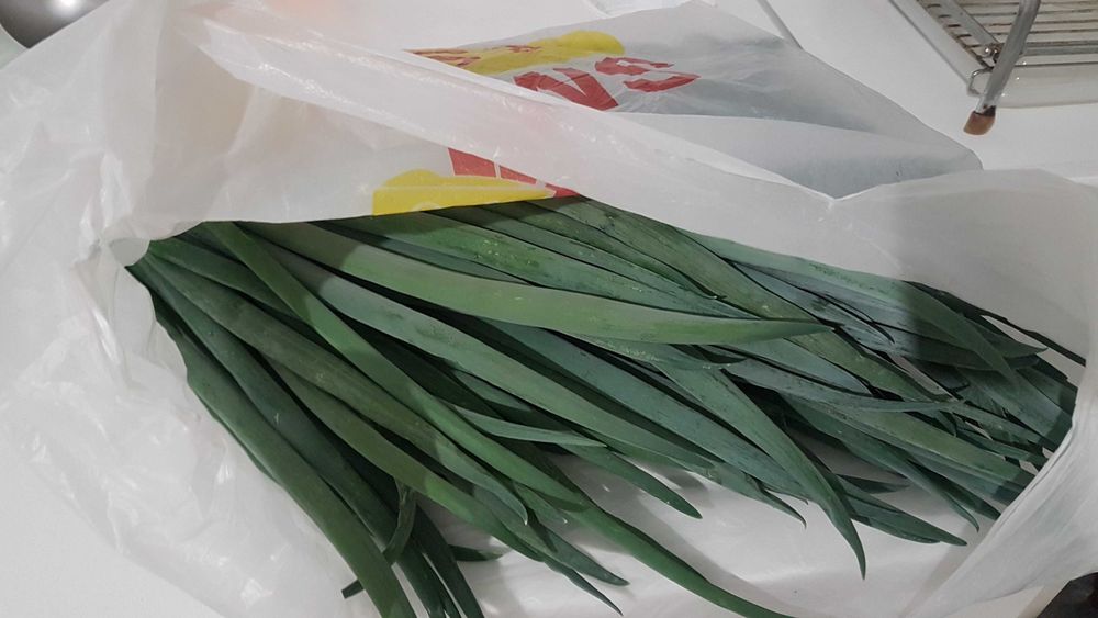 Продам опилки древесные