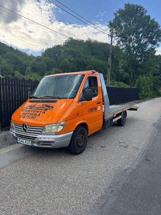 Mercedes-Benz Sprinter Mercedes Sprinter 313 CDI Autoplatformă 4,2 m x 2 m