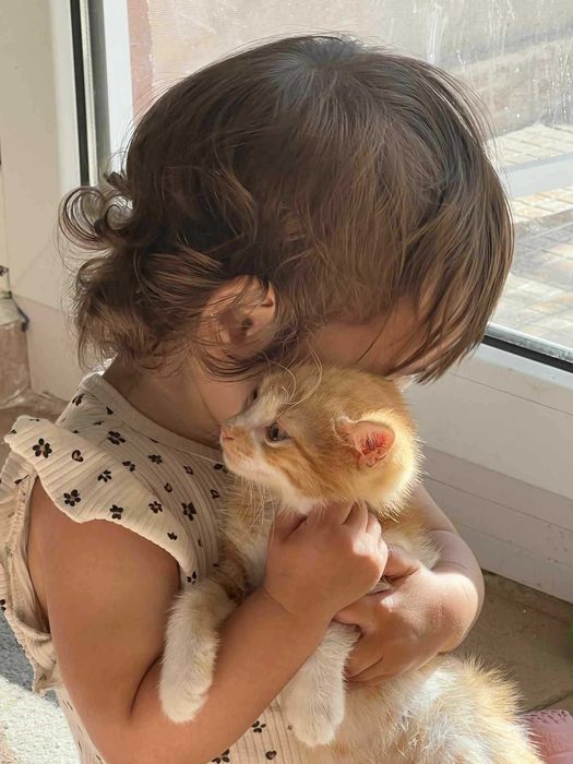 Подарявам малко коте