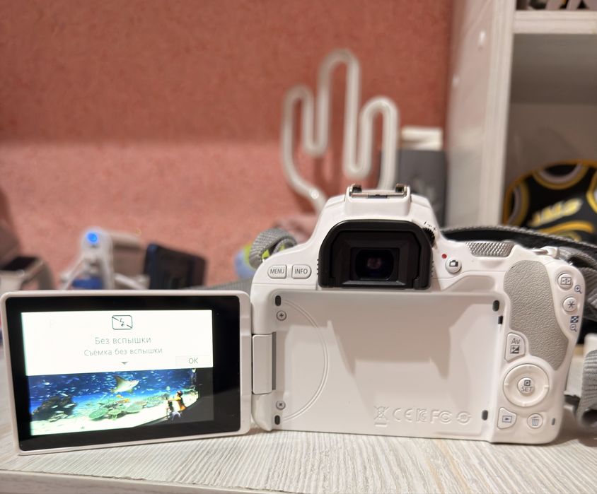 Canon EOS 200D уникального белого цвета