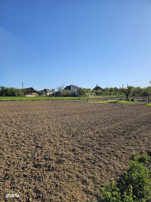 Teren intravilan Cetariu 5000 mp