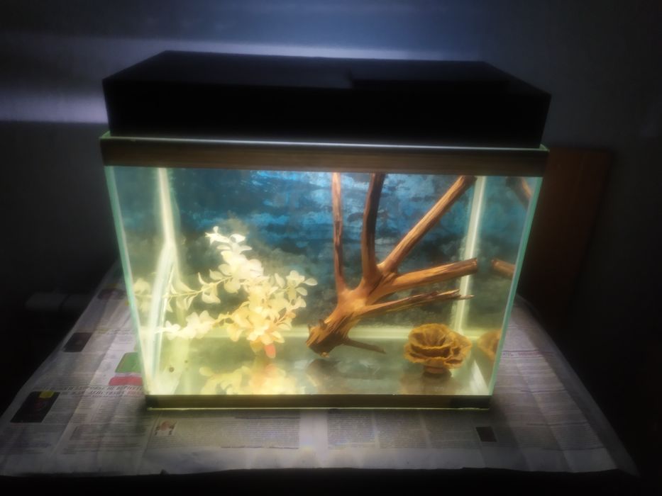 Аквариум 48л + бонусы и рыбки.