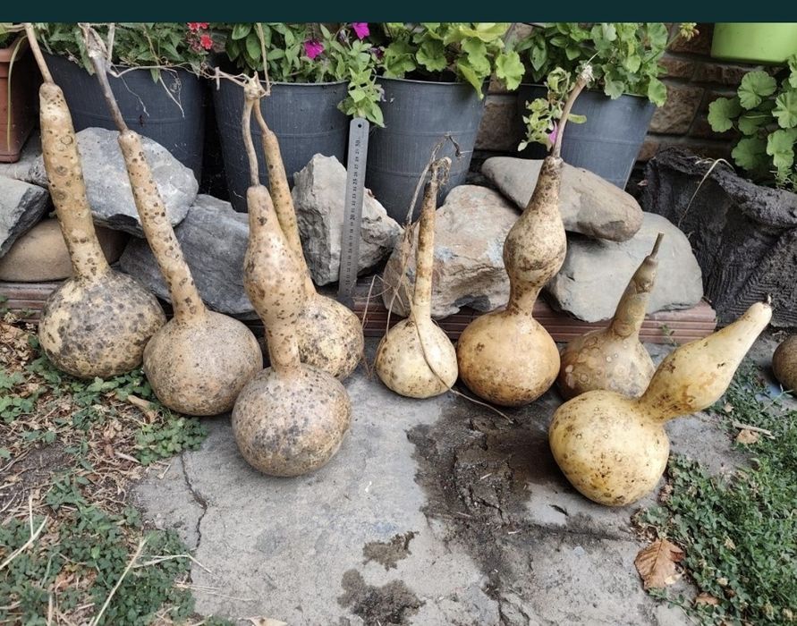 Кратуни за декорация и  Минзухарчета от филц