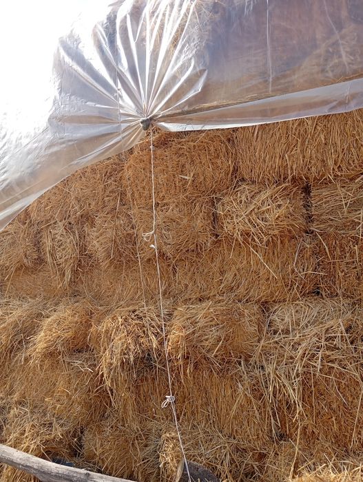 Самон пресс 4000дона