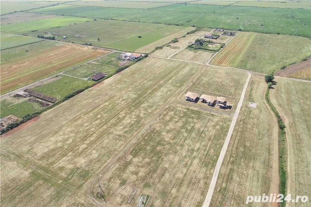 Teren In Sacalaz de la 38 euro/mp. Comision 0%!