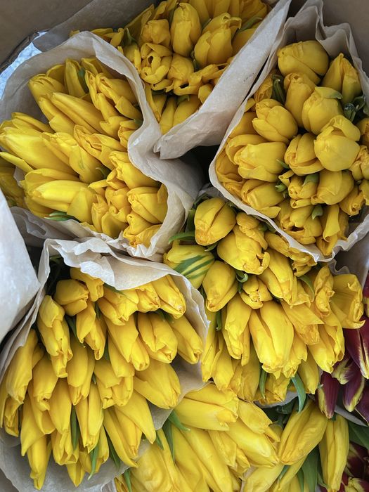 Тюлпаны 1000 тг ден бар