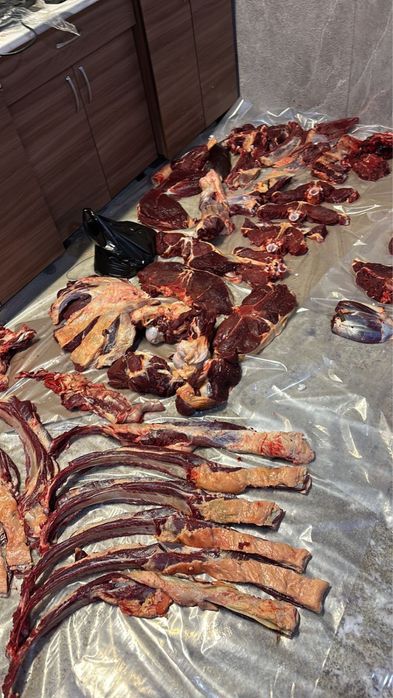 Согым продам , возможно доставка