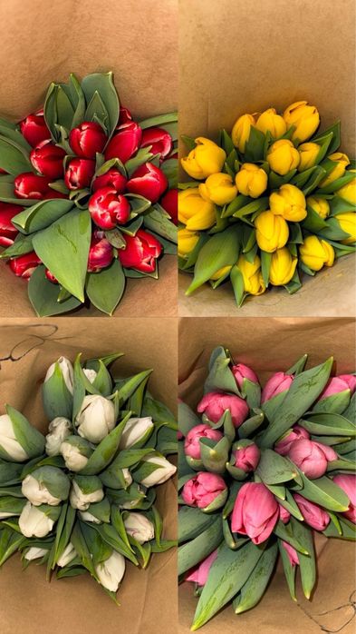 Тюльпаны по 650 крупные