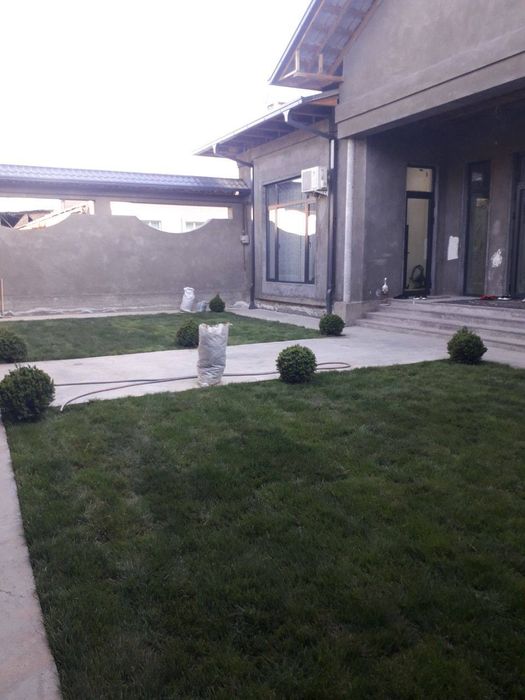 Gazon ekish va yevro uruglarin sepish hizmatlari