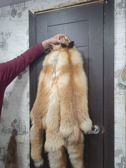 Продам Шкурки Lis