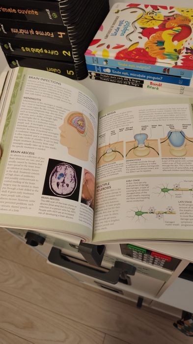 Atlas anatomie - in engleza
