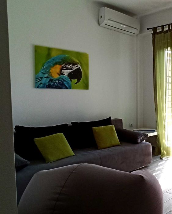 На море в Паралия Офринио