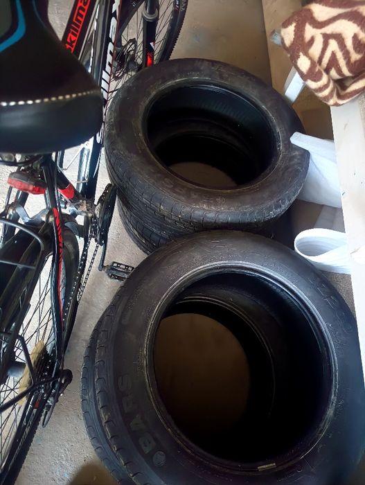 bars balon 16 Yangi 3000 yurgan