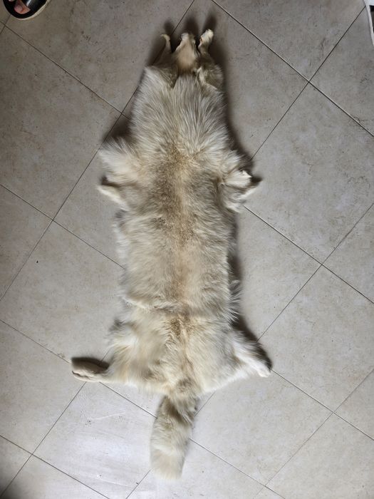 Килими от естествена агнешка кожа и лисица