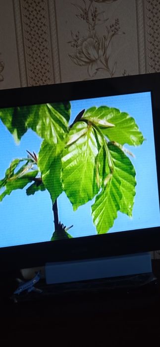 Телевизор Самсунг,Плоский, 43см диагональ,Срочно! Переноска Пилот 5