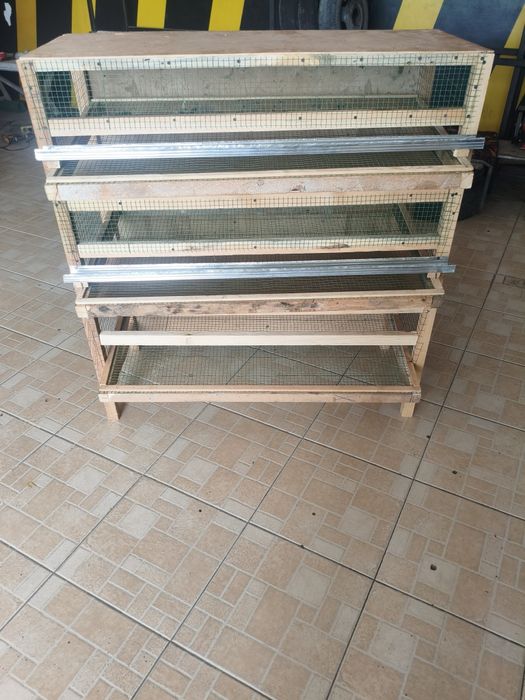 Bedana katak yangi ishlatilmagan