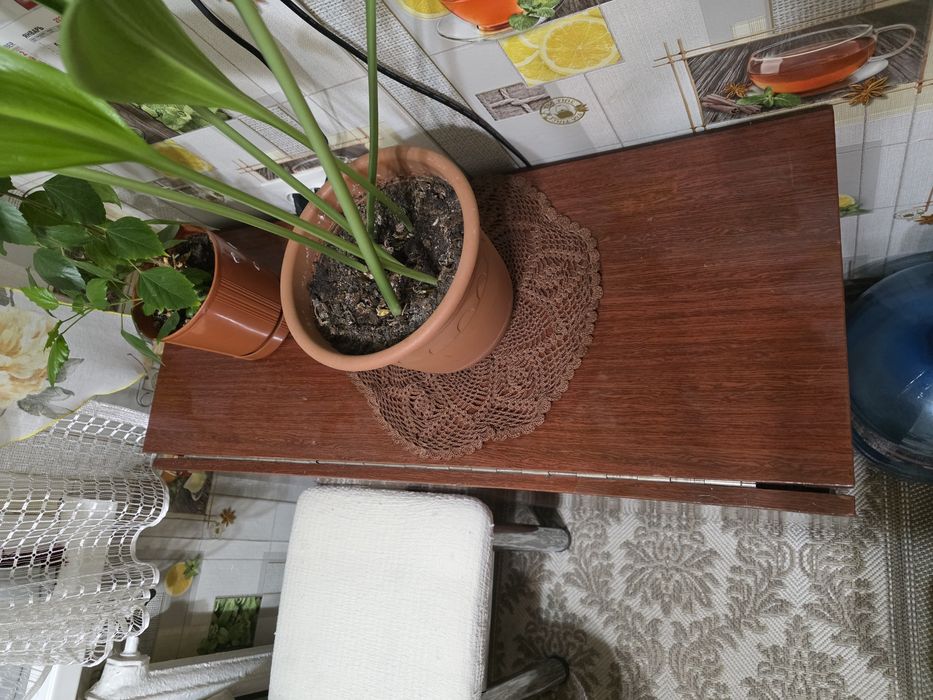 Стол-тумба полированный