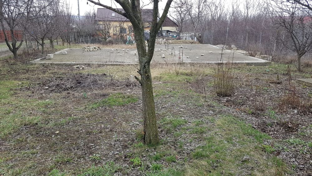 Teren + anexa gospodărească