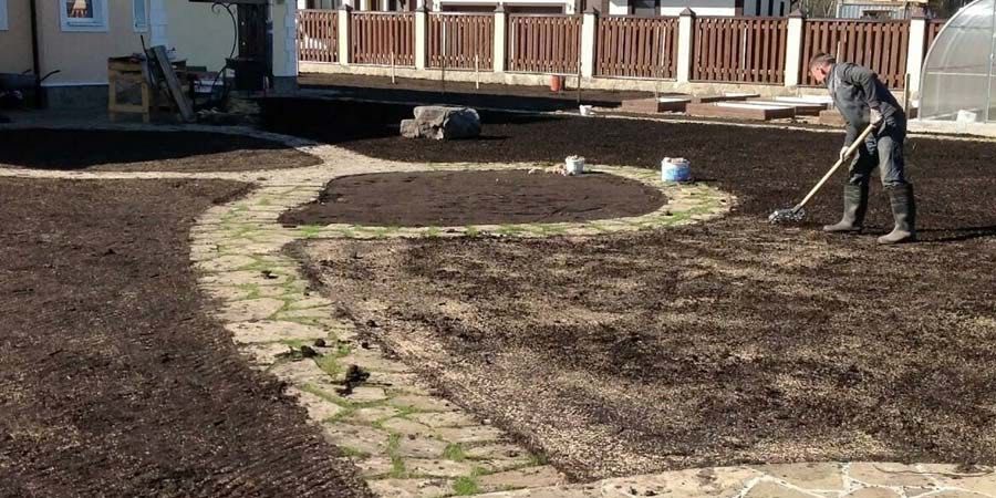 Газон рулон семена все услуги