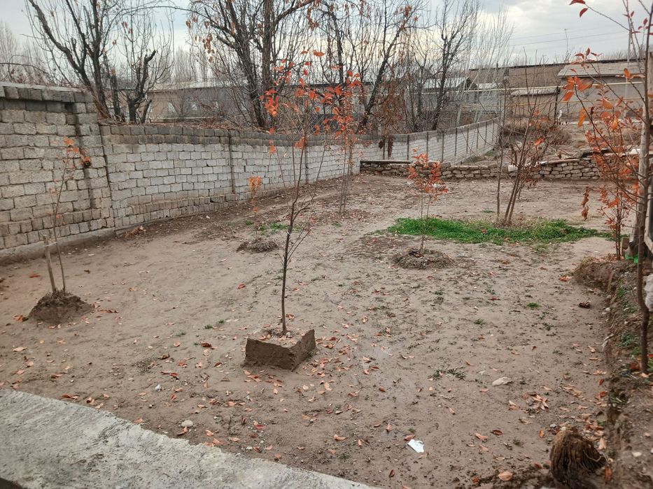 Тошкент Тумани Атипи парсез.да 10..сутик Ер.сотилади.суроч