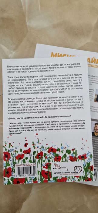 Мисия майка; Дневникът на една щастлива бременност